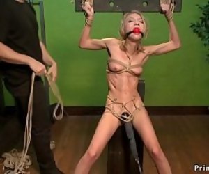 https://www.tubeporn.tv/videos/52627629-skinny-blonde-anal-toyed-in-hogtie.html