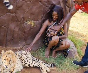 https://porndoe.com/video/1507033/wild-african-car-sex-in-safari-park